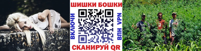 Каннабис SATIVA & INDICA  гидра маркетплейс  Кологрив 